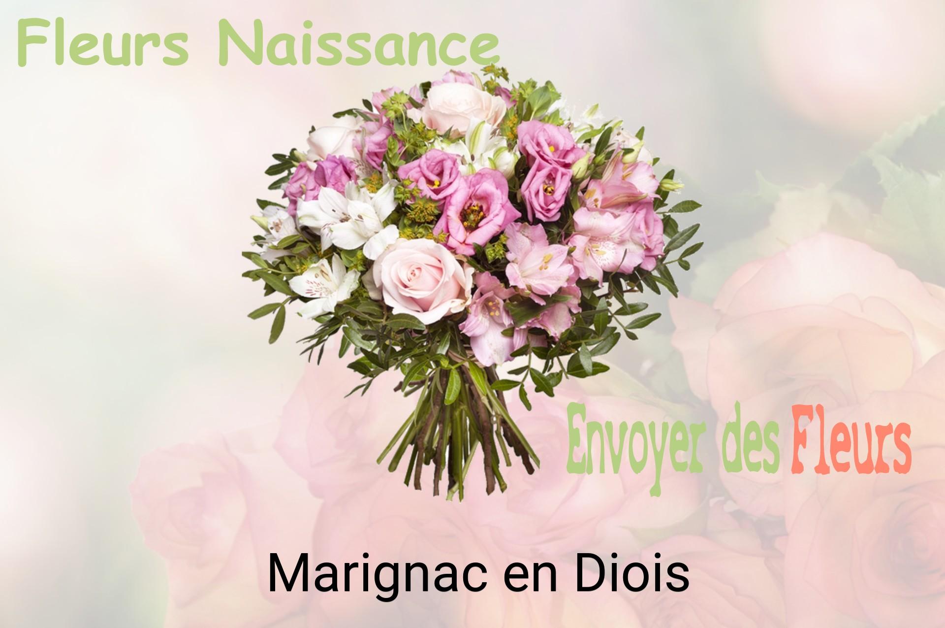 Bouquet de fleurs de naissance livré à Marignac-en-Diois